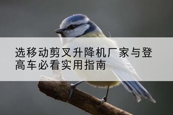 永丰电动升降机厂家-选移动剪叉升降机厂家与登高车必看实用指南