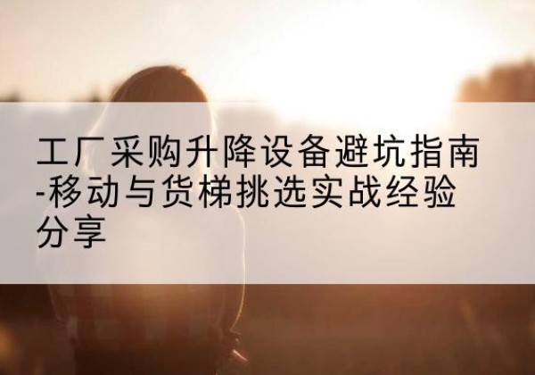 永丰移动式升降机怎么选-工厂采购升降设备避坑指南-移动与货梯挑选实战经验分享