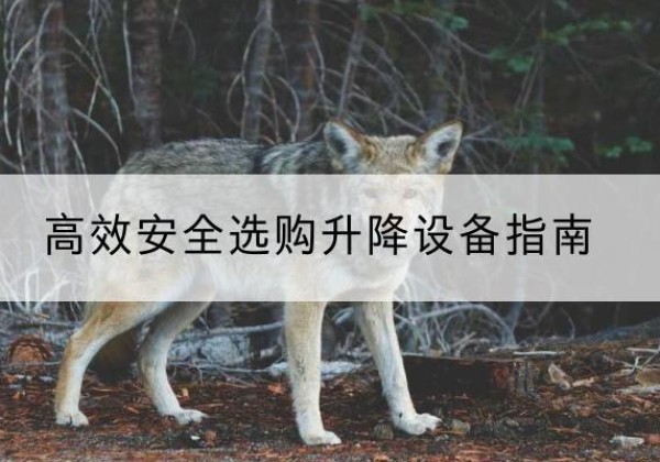 永丰升降货梯厂家推荐-*安全选购升降设备指南