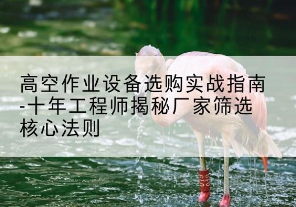 永丰剪叉式升降机厂家-高空作业设备选购实战指南-十年工程师揭秘厂家筛选核心法则
